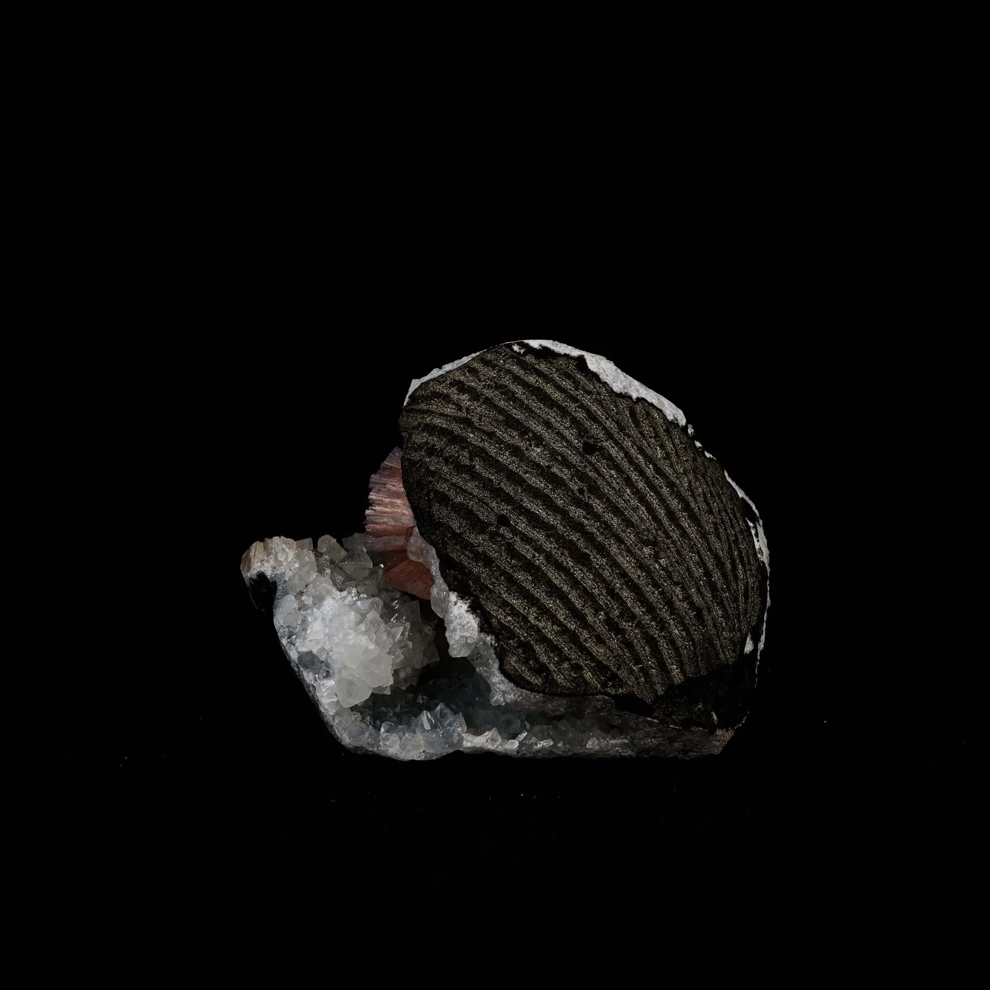 Heulandite wings on MM Quartz Matrix Natural Mineral Specimen - image 5