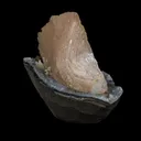 Heulandite with Chalcedony Natural Mineral Specimen USA - image 2