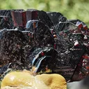 High luster Hematite with large red Rutile from Cavradi Gorge, Sedrun, Switzerland - image 8