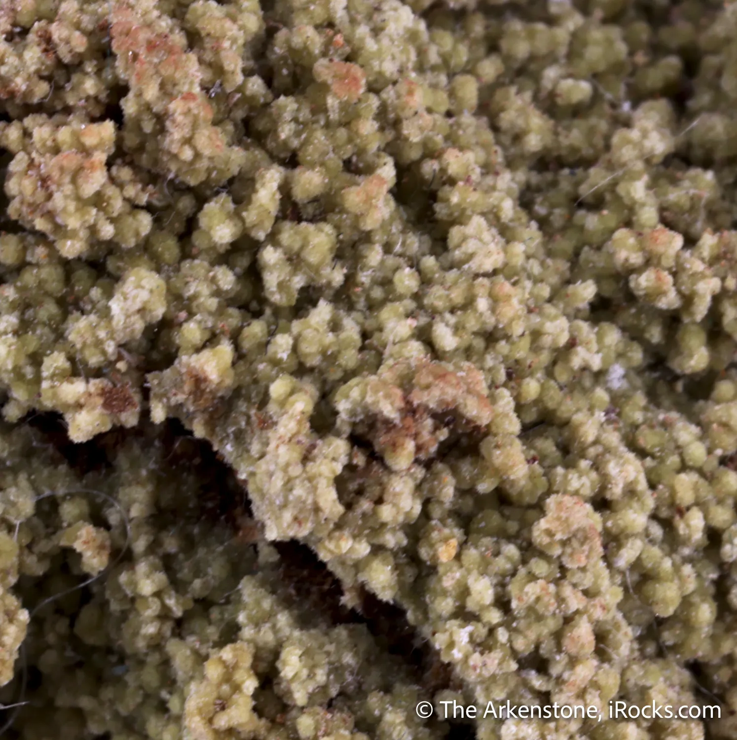 Hilarionite (Type Locality) - image 1