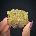 Hilarionite (Type Locality) - image 2