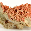 Hilgardite on Boracite (Illustrated!) - image 2