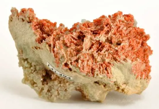 Hilgardite on Boracite (Illustrated!) - image 2