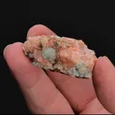 HILGARDITE with Boracite - image 1