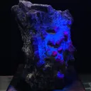 Himalayan Ruby & Sapphire Co-existence matrix (Nepal) - image 3