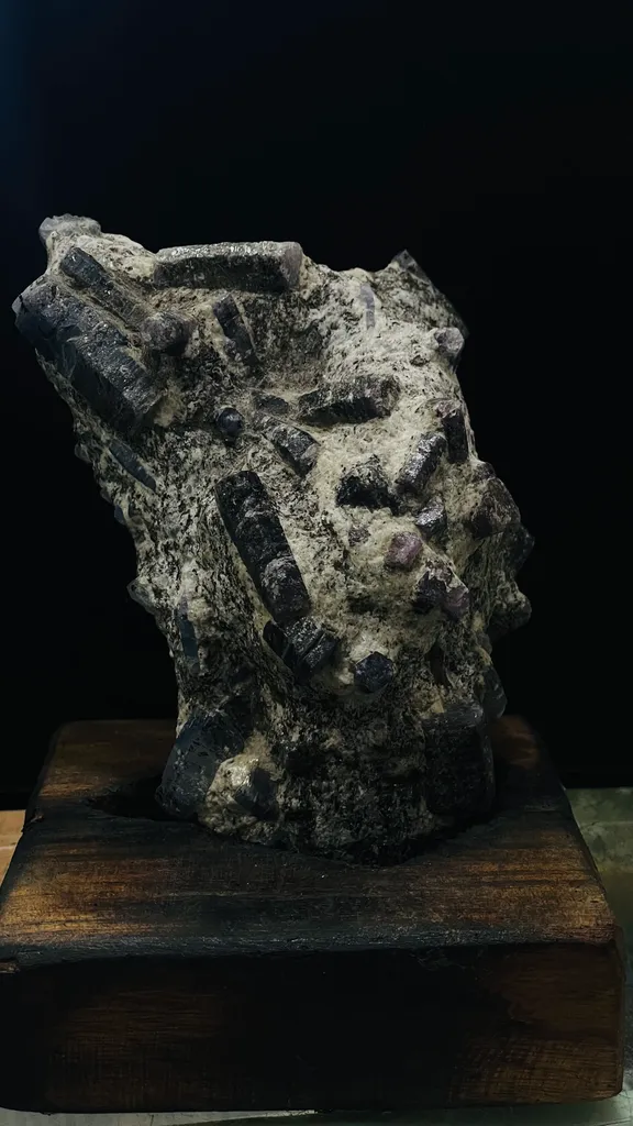 Himalayan Ruby & Sapphire Co-existence matrix (Nepal) - image 2