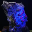 Himalayan Ruby & Sapphire Co-existence matrix (Nepal) - image 1