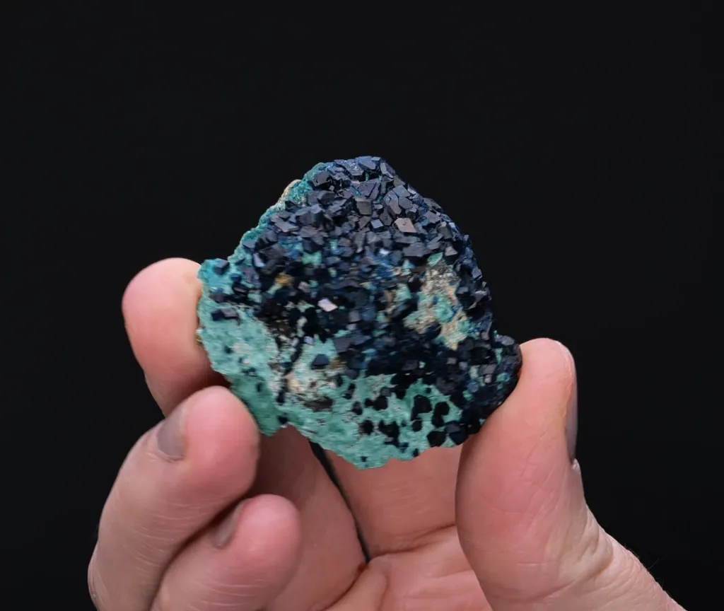 HOGANITE - image 2