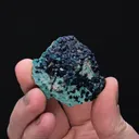 HOGANITE - image 2