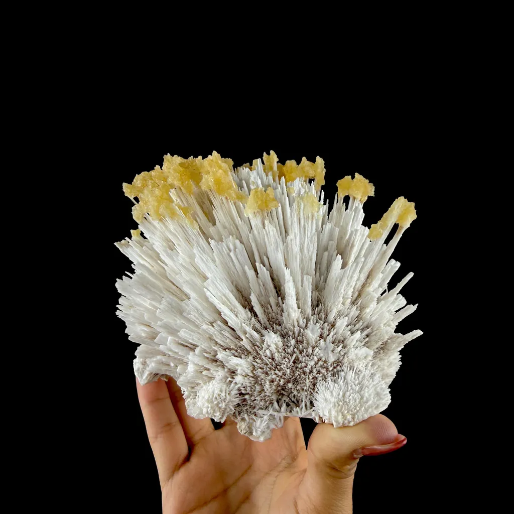 Honey Calcite on Mordenite Spray Burst - Collector’s Indian Zeolite Specimen from Pune,India - image 5