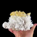 Honey Calcite on Mordenite Spray Burst - Collector’s Indian Zeolite Specimen from Pune,India - image 2
