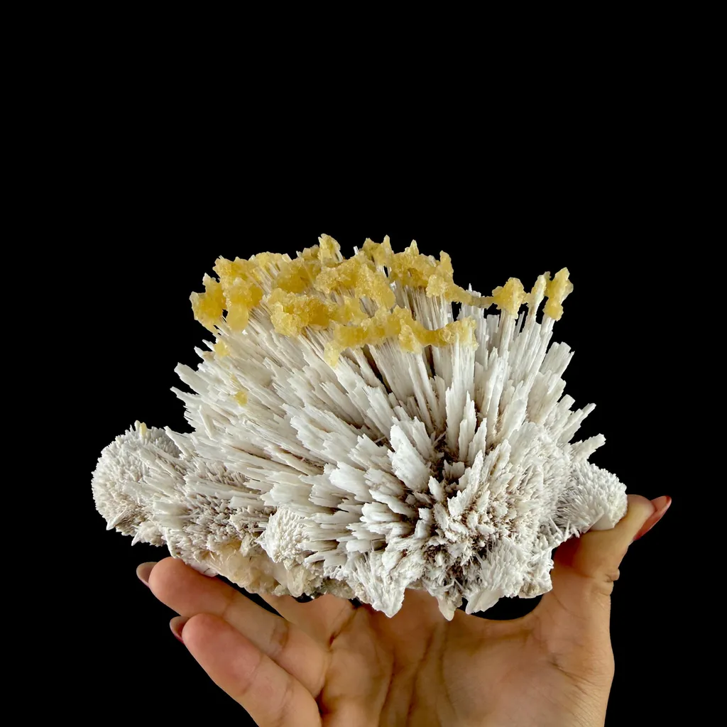 Honey Calcite on Mordenite Spray Burst - Collector’s Indian Zeolite Specimen from Pune,India - image 4