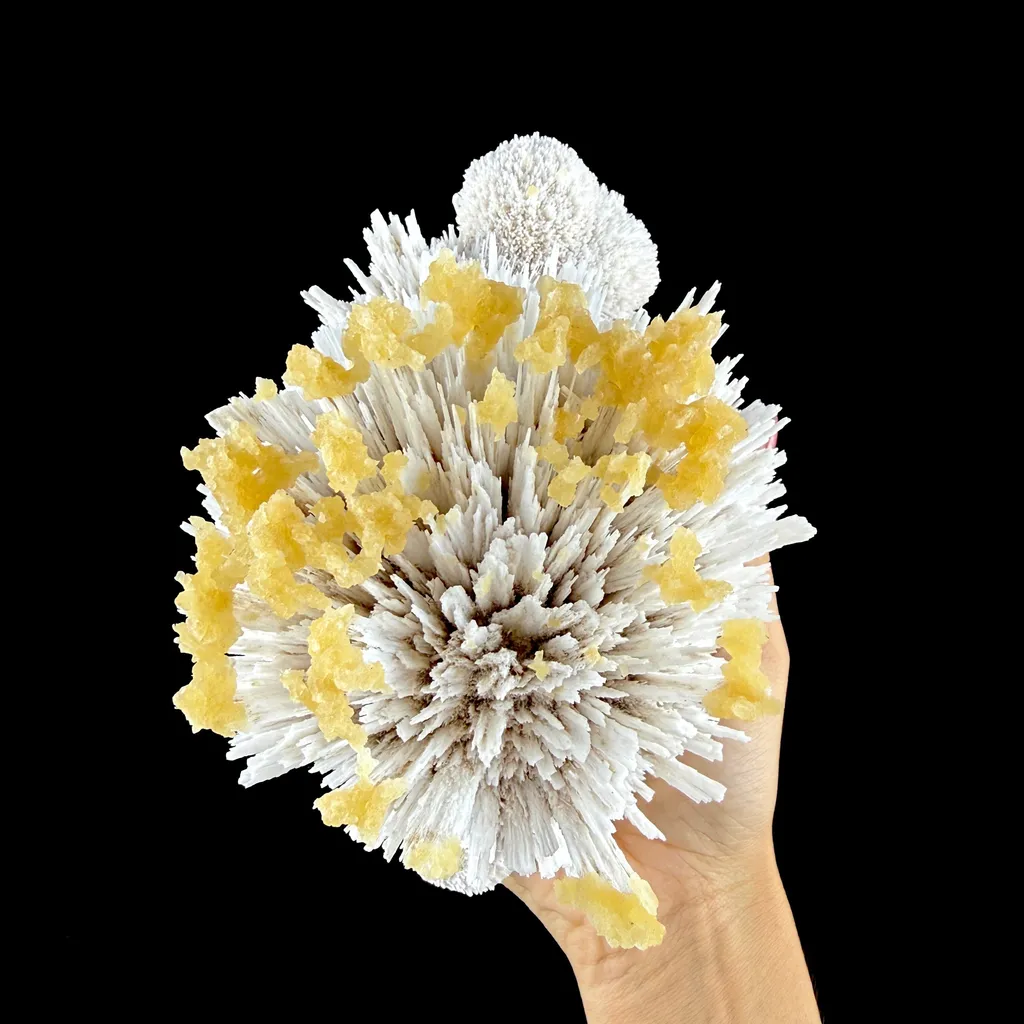 Honey Calcite on Mordenite Spray Burst - Collector’s Indian Zeolite Specimen from Pune,India image