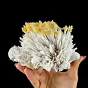 Honey Calcite on Mordenite Spray Burst - Collector’s Indian Zeolite Specimen from Pune,India - image 3