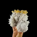 Honey Calcite on Mordenite Spray Burst - Collector’s Indian Zeolite Specimen from Pune,India - image 7