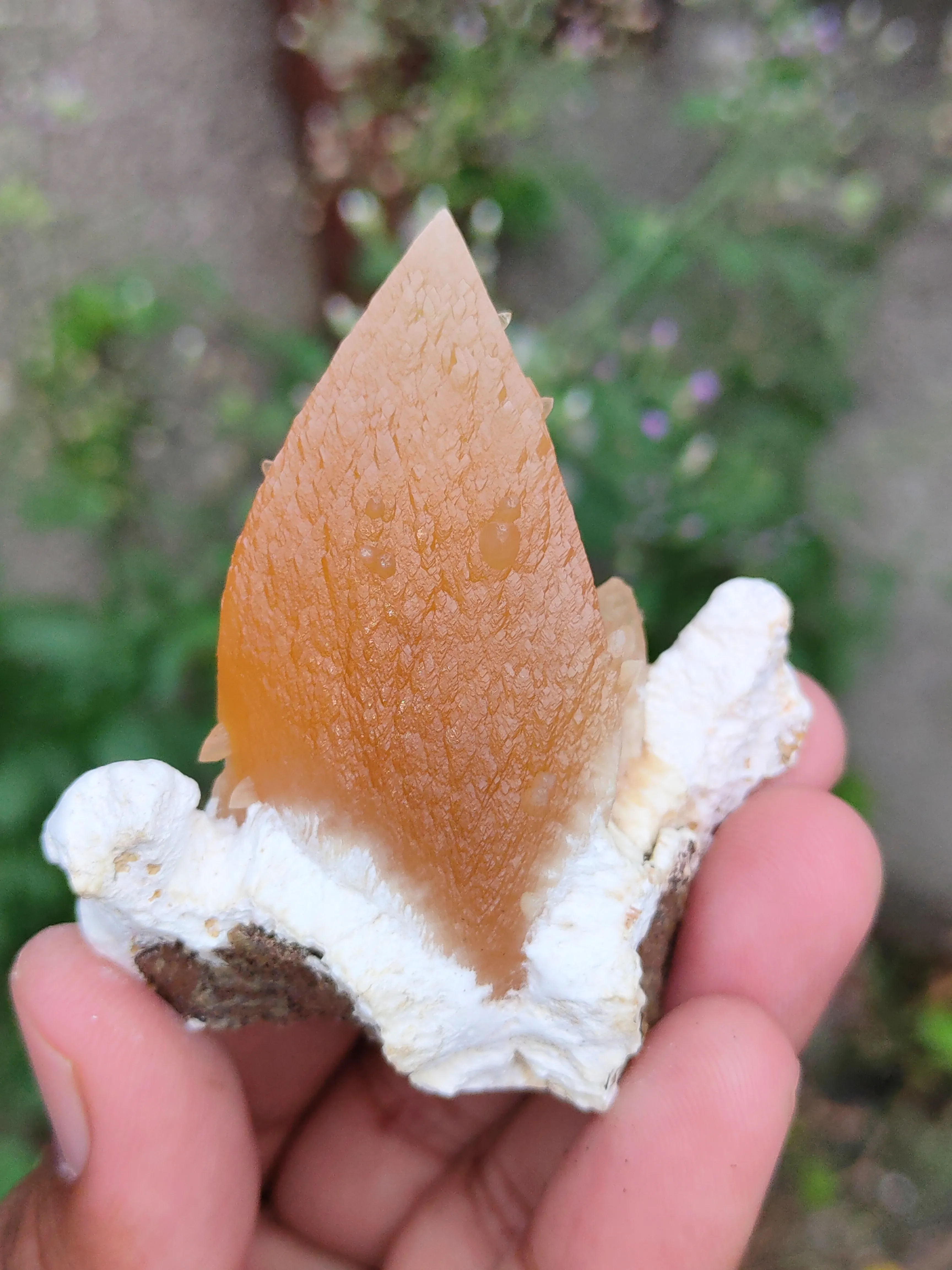 Honey Calcite On Okenite - image 2