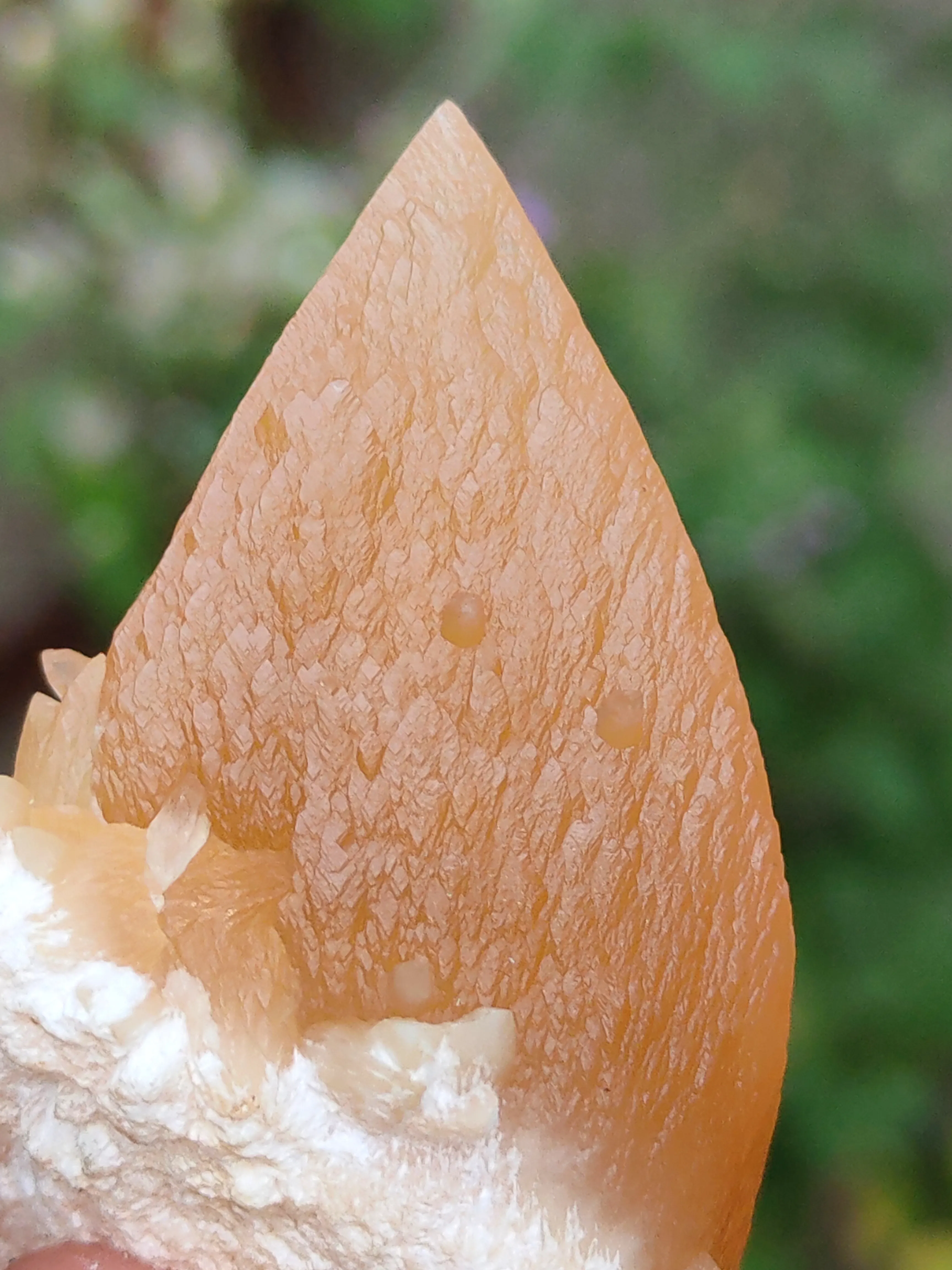 Honey Calcite On Okenite - image 4