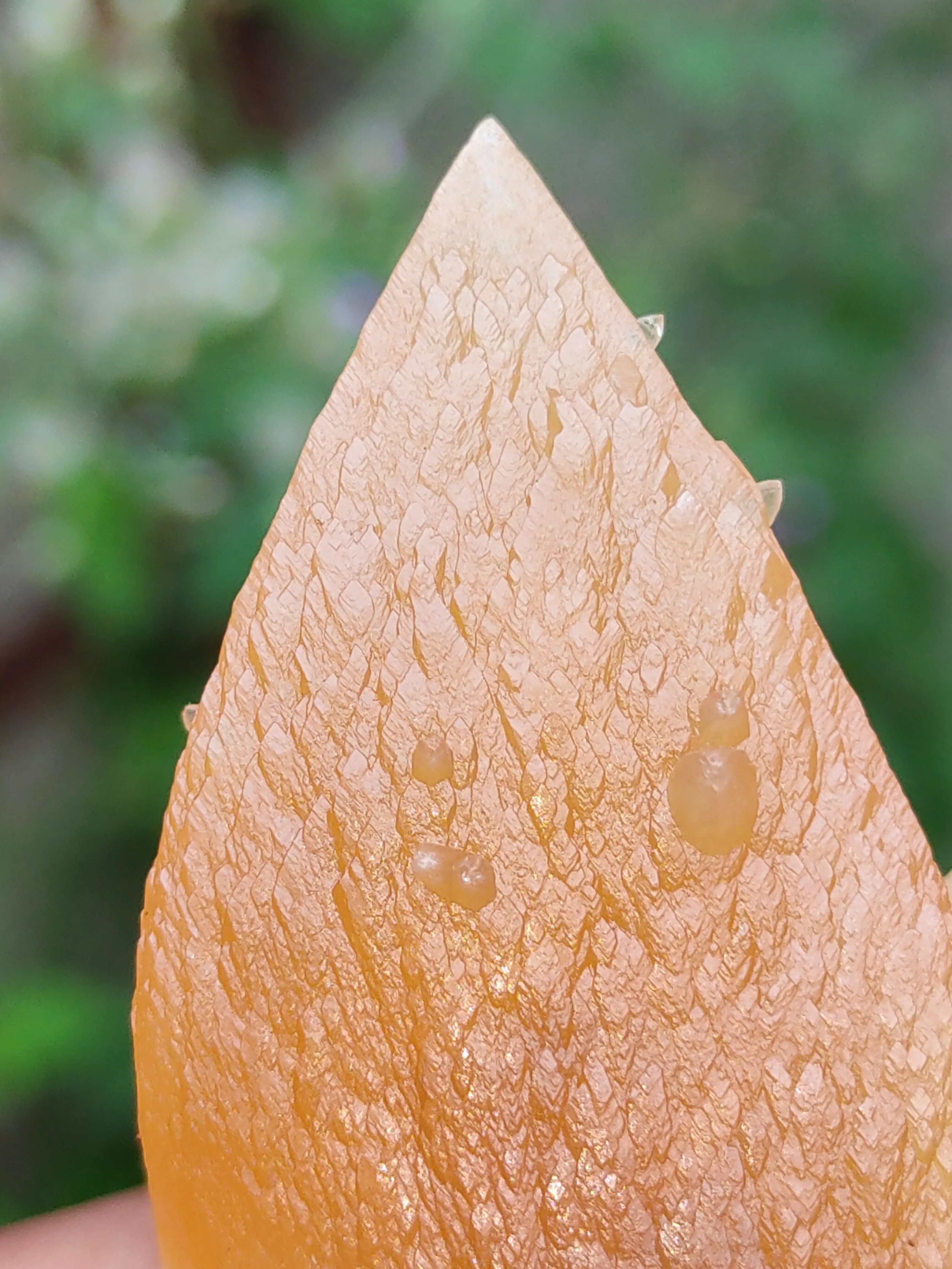 Honey Calcite On Okenite - image 5