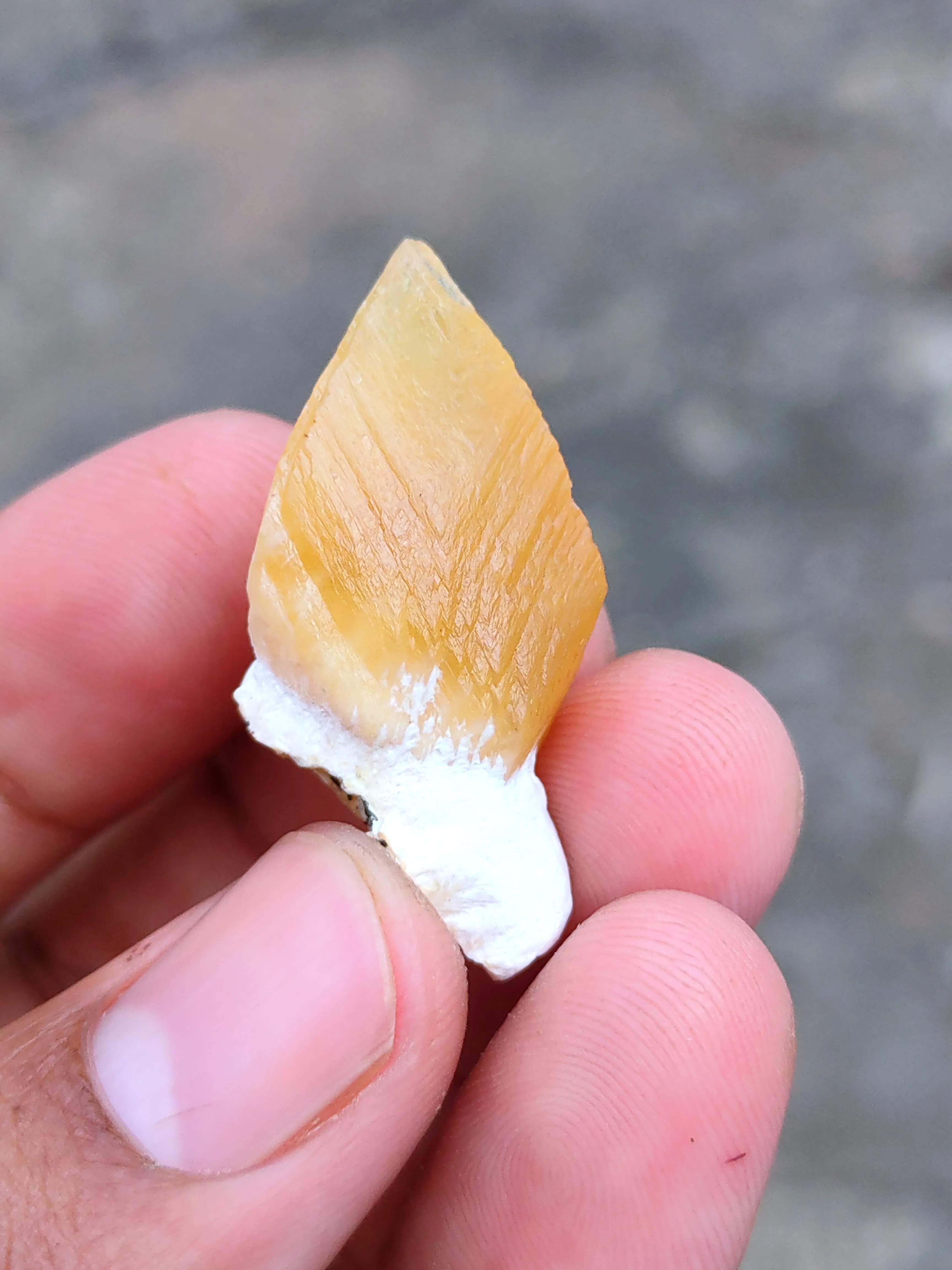 Honey calcite on Okenite. - image 2