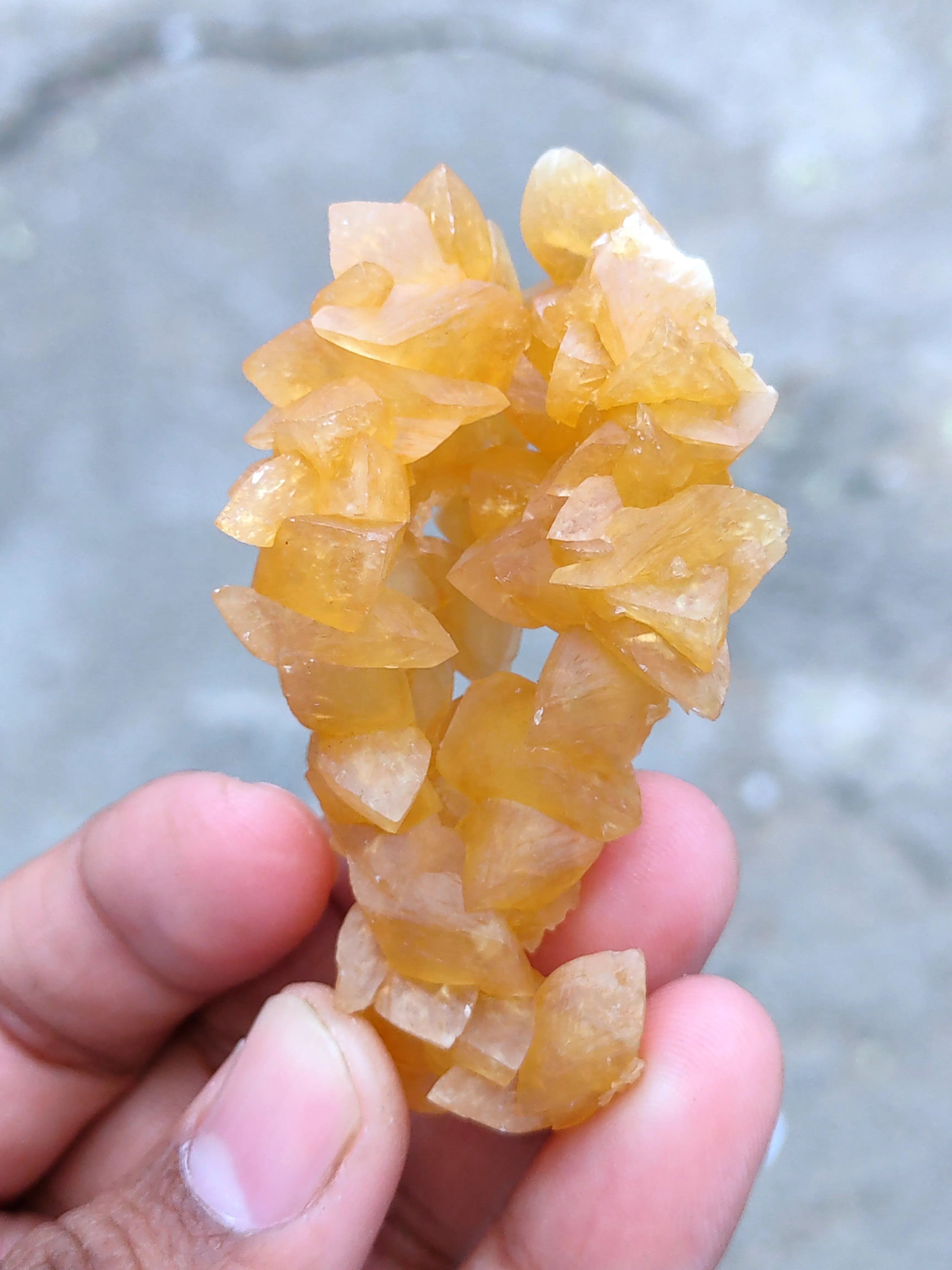 Honey calcite Tree With Barite. - image 4