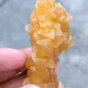 Honey calcite Tree With Barite. - image 6