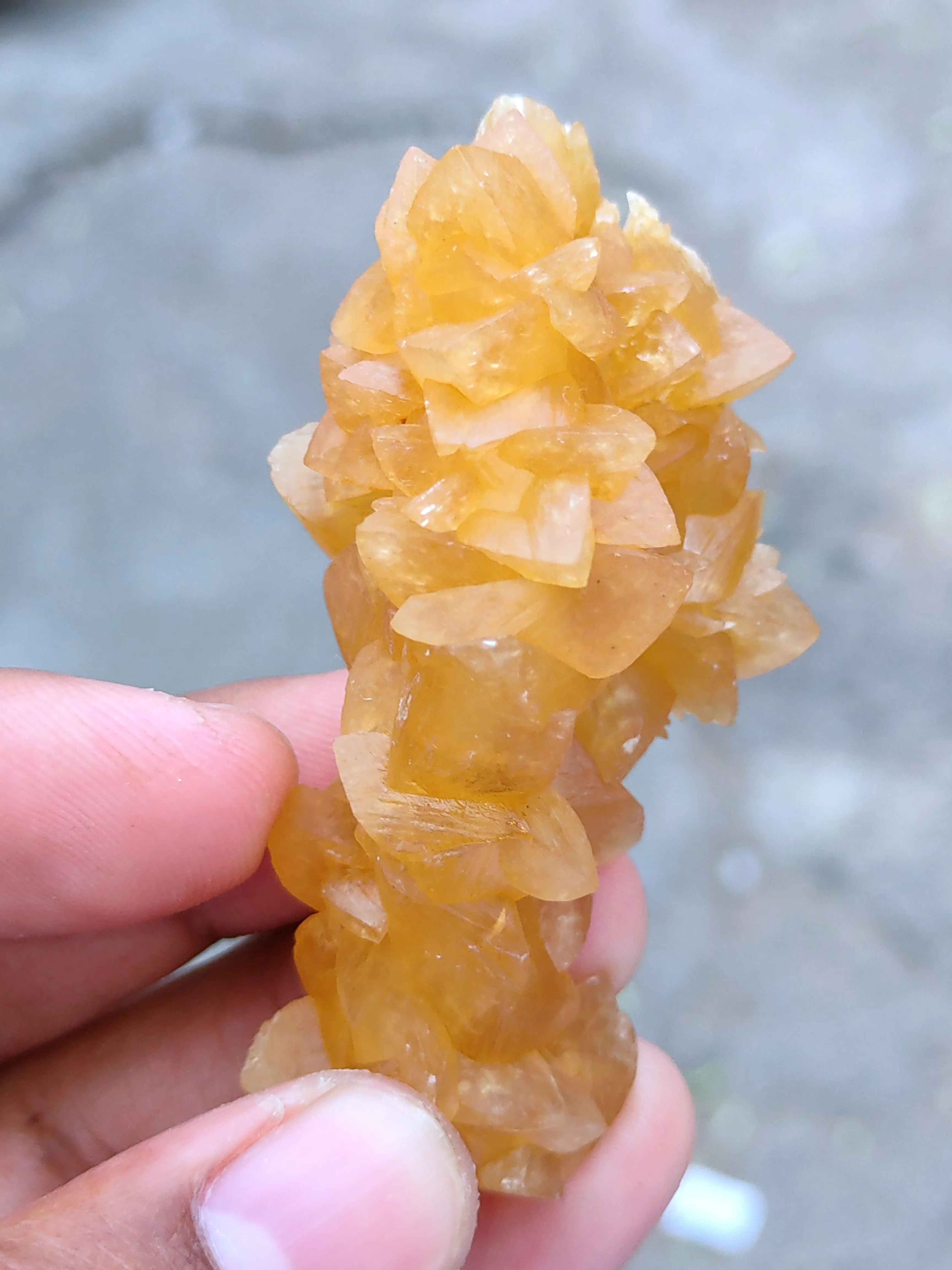 Honey calcite Tree With Barite. - image 6