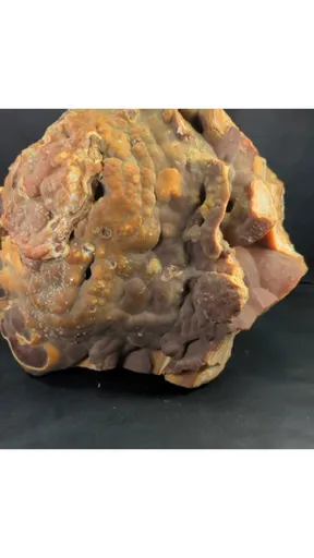 specimen video