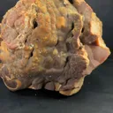 specimen video