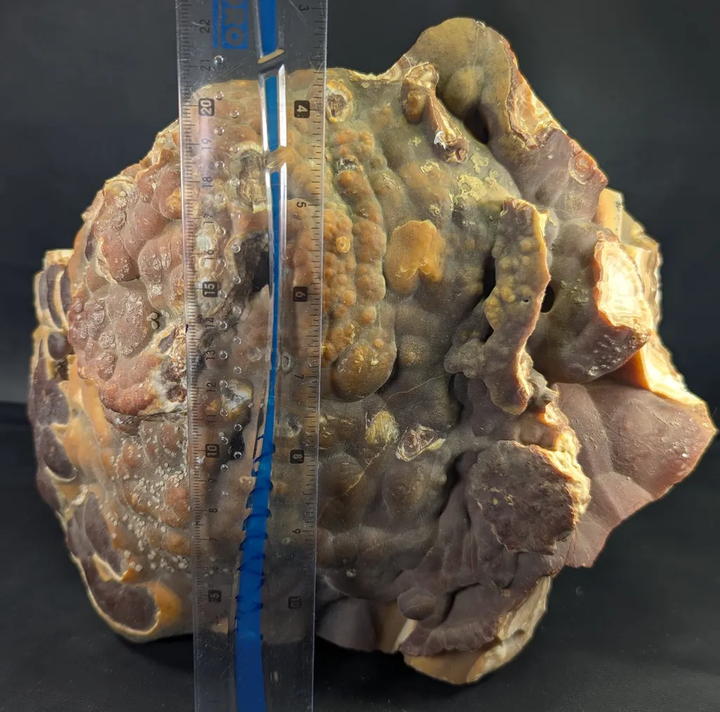 Honey Color Cabinet Size Aragonite Specimen - image 4