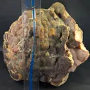Honey Color Cabinet Size Aragonite Specimen - image 4