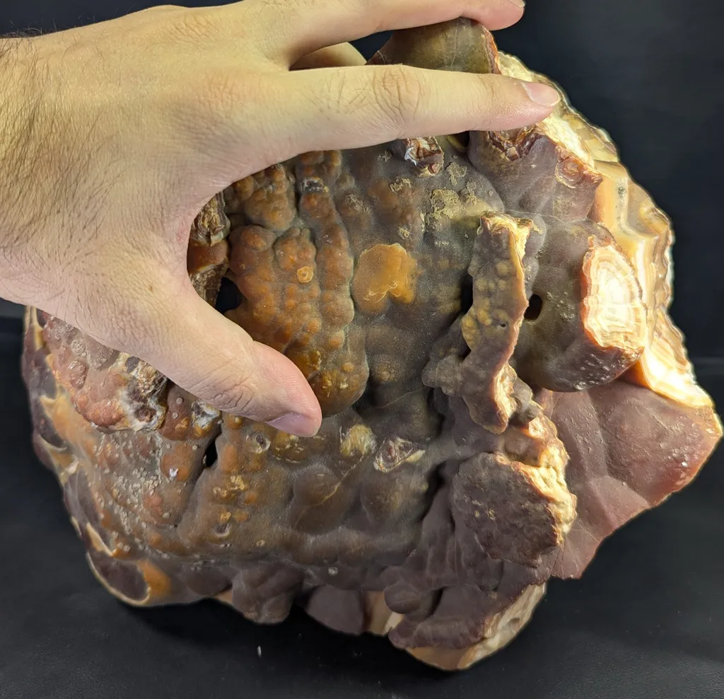 Honey Color Cabinet Size Aragonite Specimen - image 3