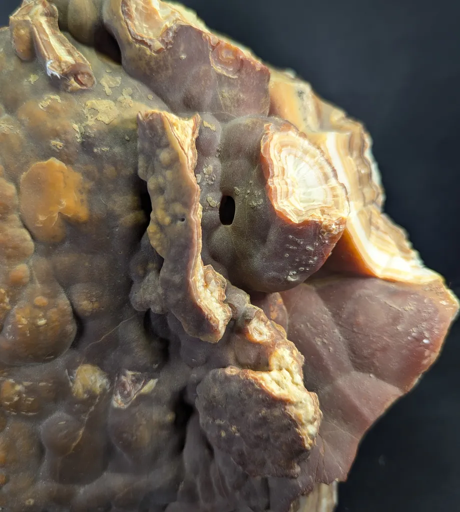 Honey Color Cabinet Size Aragonite Specimen - image 6