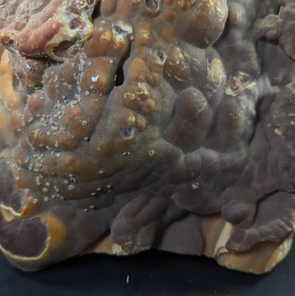 Honey Color Cabinet Size Aragonite Specimen - image 5