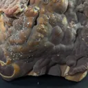 Honey Color Cabinet Size Aragonite Specimen - image 5