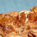 Hopeite - image 2