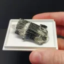 specimen video