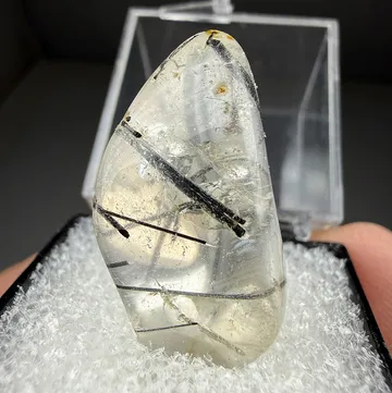 Hornblende in Quartz