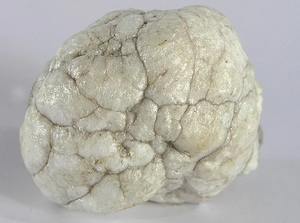 Howlite image