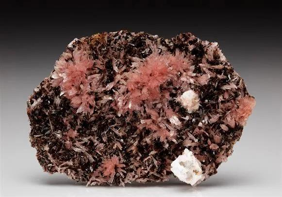 HUBEITE with Inesite - image 1