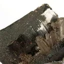 Hubnerite and Quartz - image 3