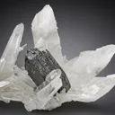 Hübnerite on Quartz - image 2