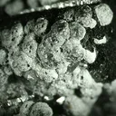Hubnerite, Quartz, Arsenic - image 3