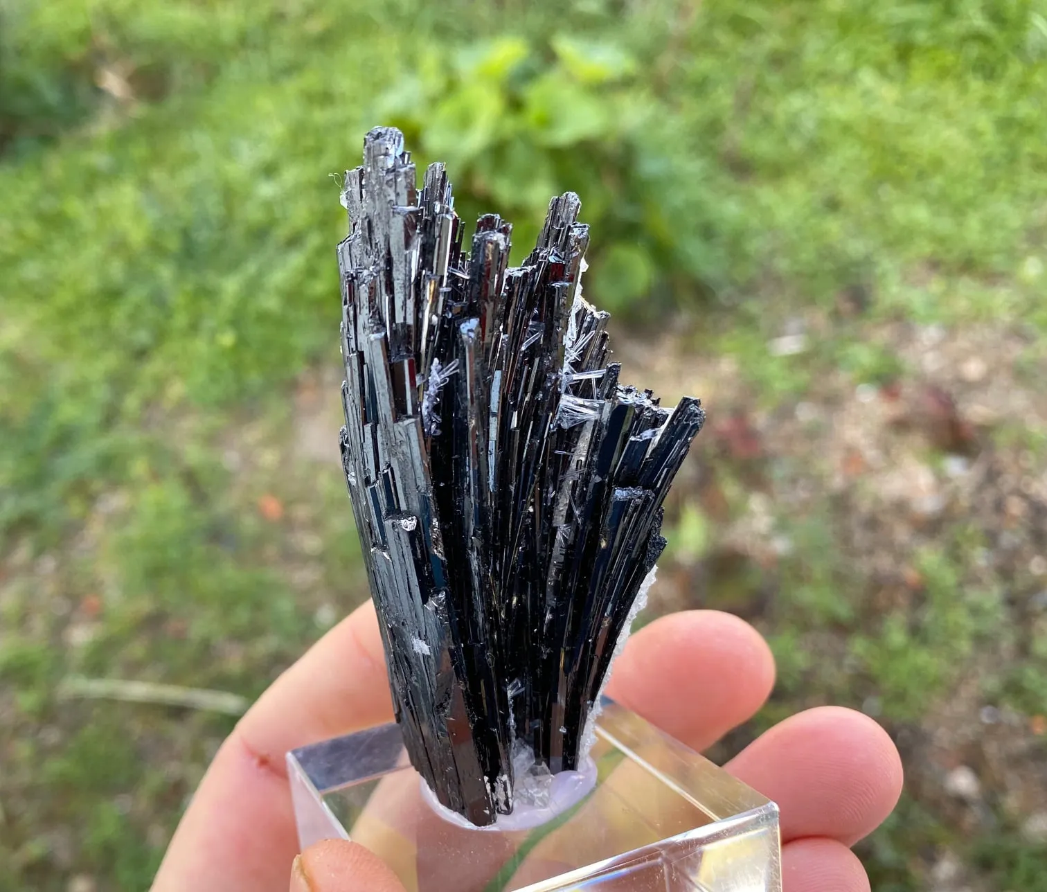 Hubnerite with Quartz - image 5