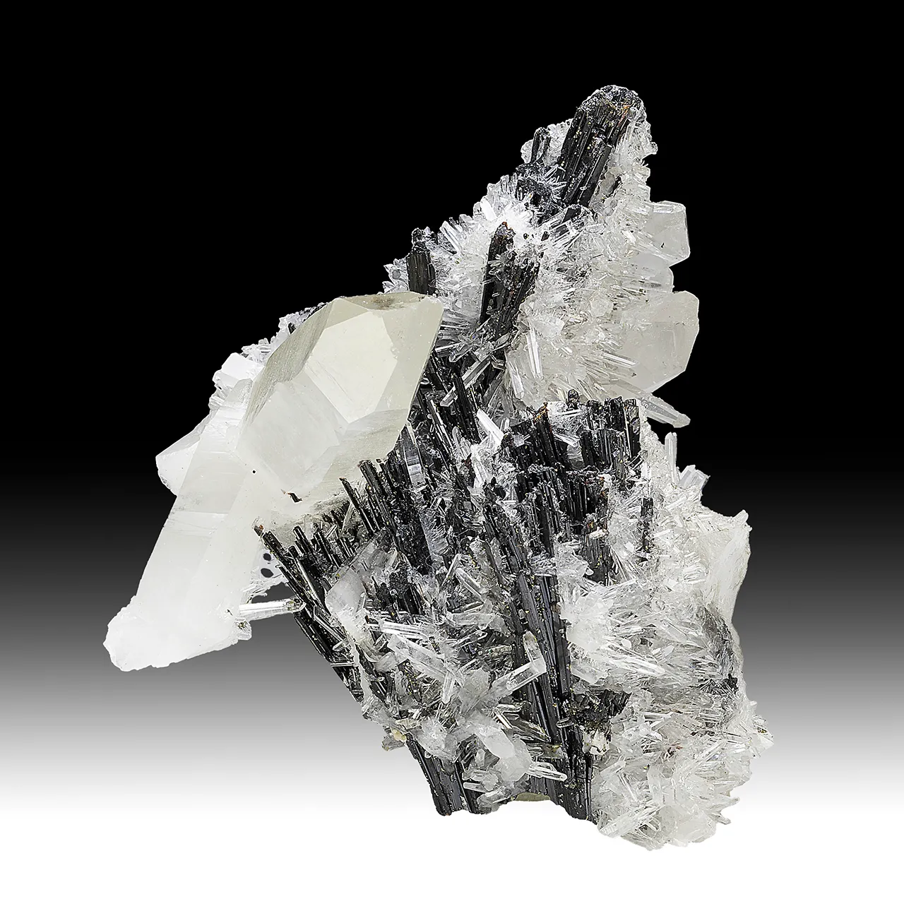 Hubnerite with Quartz - image 1