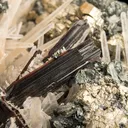Hübnerite with Quartz - image 2