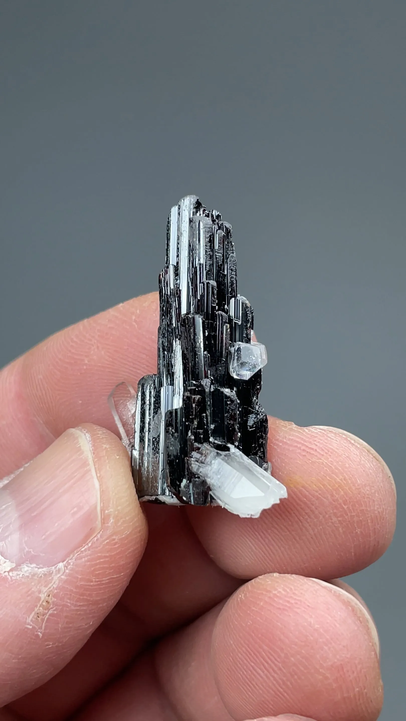Hubnerite with Quartz - image 2