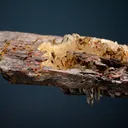 Hübnerite with Quartz - image 3