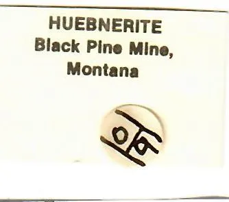 Hübnerite with Quartz - image 6
