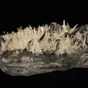 Hübnerite with Quartz - image 6