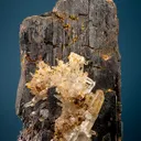Hübnerite with Quartz - image 1